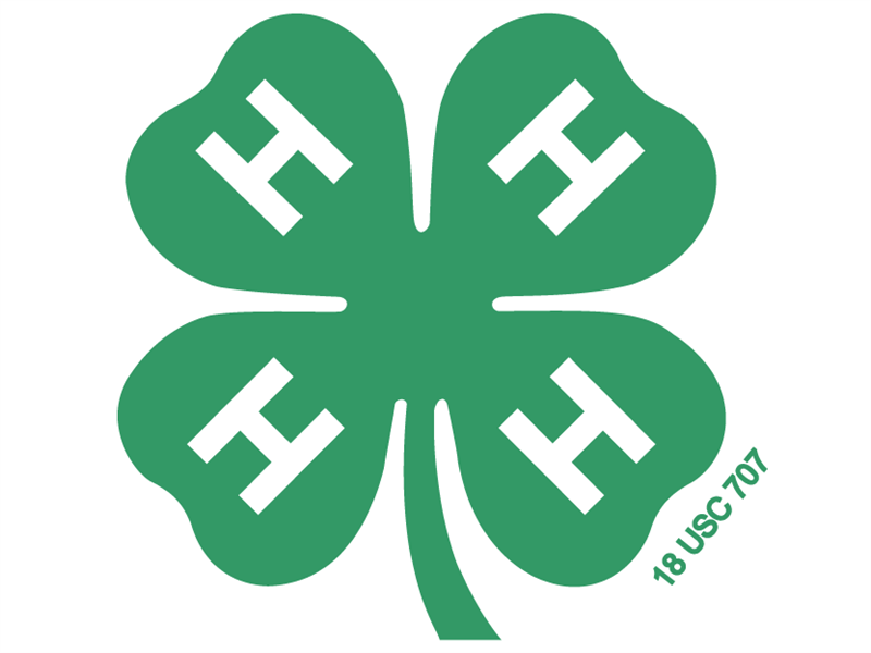 Fair Logo